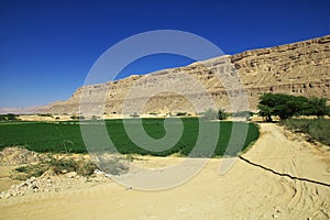 The fortress in mountains in Wadi Hadhramaut, Yemen