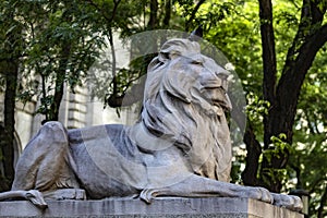 Fortress is one of the two lions made of pink Tennessee marble that guard the front door of the New York Public Library.