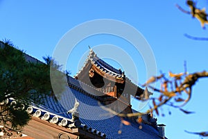 The fortress or rampart standing high in ancient castel of japan, see with big bonzai tree rock wall and blue sky photo