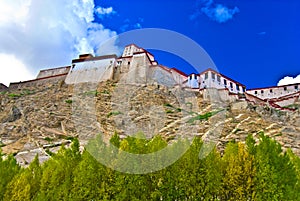 Fortress on Tibetan hillside