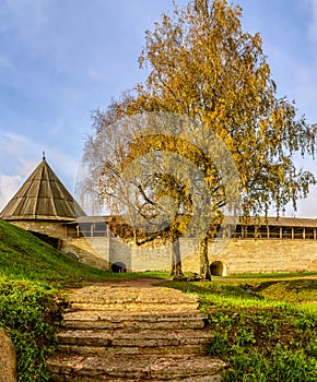 A fortress in the village of Staraya Ladoga on the banks of the Volkhov River