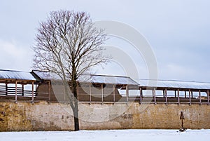 Fortress wall and tree in winter scene