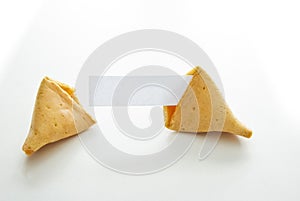 Fortune cookie