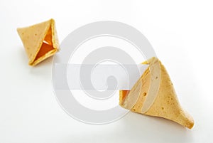 Fortune cookie