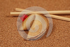 Fortune Cookie