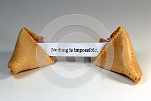 Fortune Cookie photo