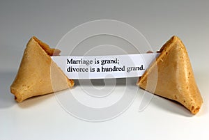 Fortune Cookie photo