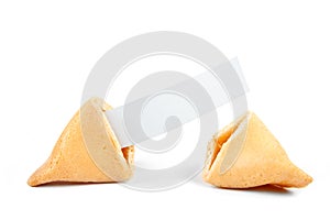 Fortune Cookie Blank