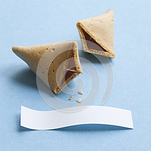 Fortune cookie with blank message