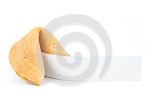 Fortune cookie with blank slip