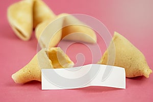 Fortune Cookie on a crimson background. Close-up of foreboding broken cookies with white piece of paper with copy space on a dark