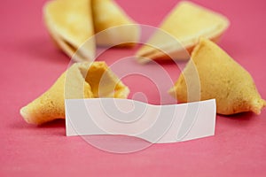 Fortune Cookie on a crimson background. Close-up of foreboding broken cookies with white piece of paper with copy space on a dark