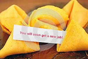 Fortune cookie with job prediction photo