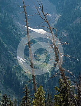 Fortune Cookie Pass, Okanogan-Wenatchee National Forest, Cascade Range, Washington
