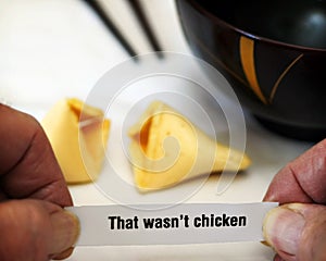 Fortune Cookie Surprise