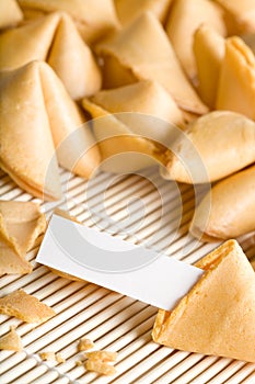 Fortune cookie your text