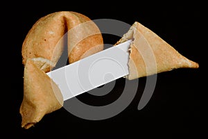 Fortune cookies plain