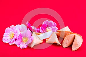 Fortune cookies with plum blossom flowers on red background