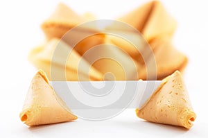 Fortune cookies with white blank paper, shallow depth of field