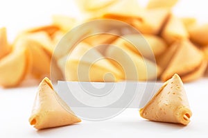 Fortune cookies with white blank paper, shallow depth of field