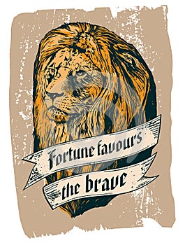 Fortune favours the brave