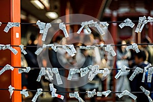 Fortune papers tied to ropes at Japanese shrine