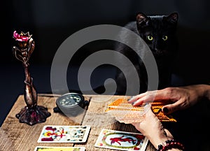 A fortune teller with a black cat lays out the tarot cards. Selective focus