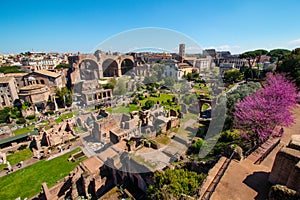 Forum Romanum