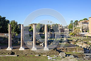 Forum Romanum, view of the ruins of several important ancient  buildings, Temple of Peace also known as the Forum of Vespasian,