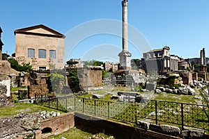 Forum in Rome with a blue sky background