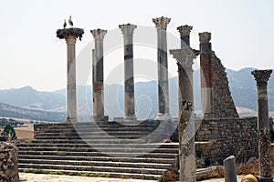 The Forum of Volubilis 2