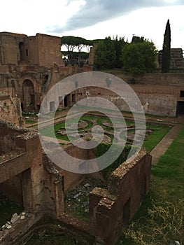 Forum was the center of day-to-day life in Rome