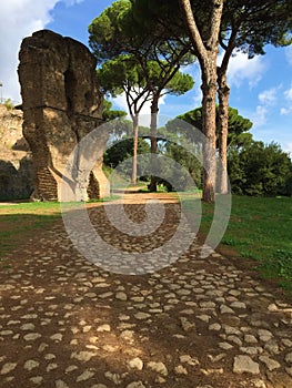 Forum was the center of day-to-day life in Rome