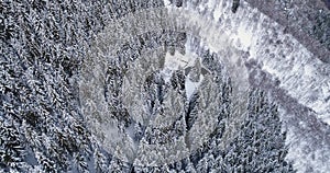 Forward aerial top view over hairpin bend turn road in mountain snow covered winter forest.White pine tree woods.Snowy