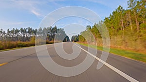 Forward Drive plate through single lane highway amongst Pine forests