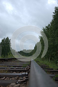 A forward view from a rail on railway tracks running through the forest