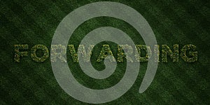 FORWARDING - fresh Grass letters with flowers and dandelions - 3D rendered royalty free stock image