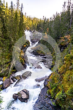 Foss ved Ulaelva i Rondane nasjonalpark i Norge, Marcinfossen