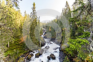 Foss ved Ulaelva i Rondane nasjonalpark i Norge, Marcinfossen