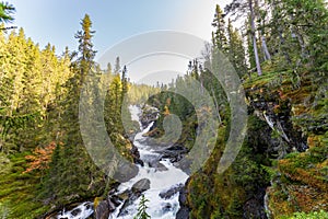 Foss ved Ulaelva i Rondane nasjonalpark i Norge, Marcinfossen