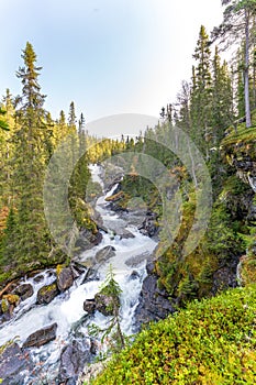 Foss ved Ulaelva i Rondane nasjonalpark i Norge, Marcinfossen