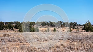 Sapphire Gem Fields photo