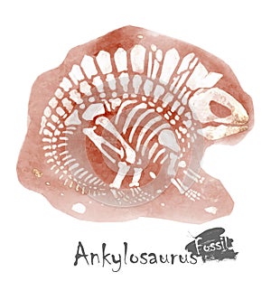 Fossil of Ankylosaurus dinosaur in rock . Watercolor paint design . Vector