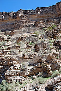 Fossil Canyon near Red Rock Canyon, Nevada.