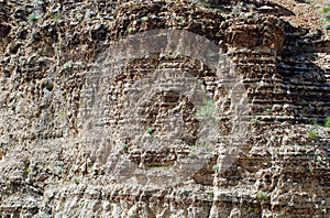 Fossil Canyon near Red Rock Canyon, Nevada.