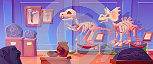 Fossil dinosaur skeleton in history museum cartoon