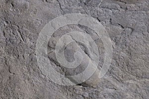 Fossil footprints by Australopithecus afarensis