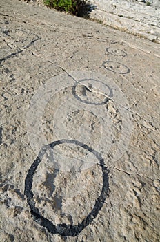 Fossil footprints of cretaceous dinosaur photo