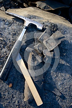 Fossil hunting tools ammonite Charmouth Dorset England