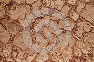 Fossil mud cracks